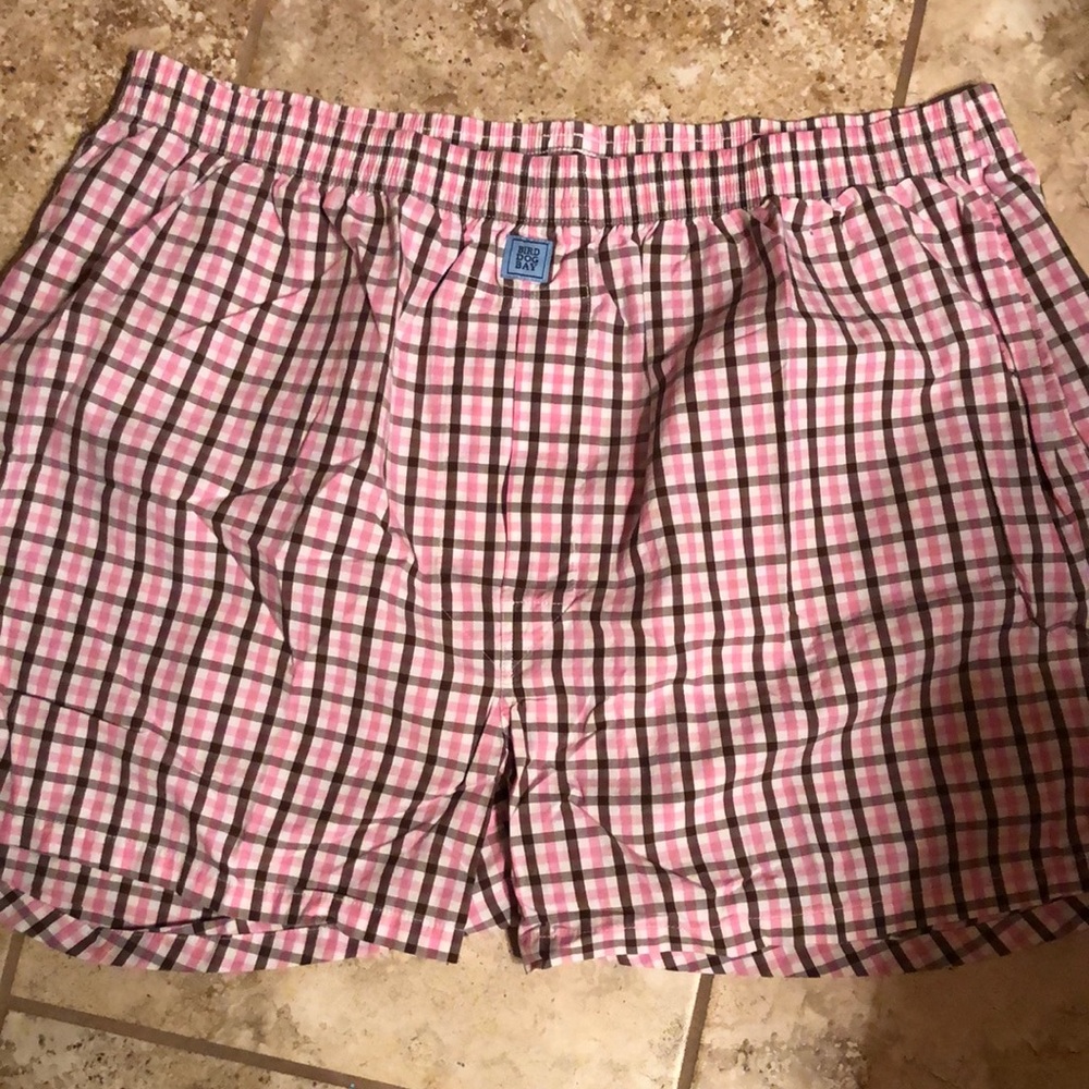 Bird dog bay boxers
